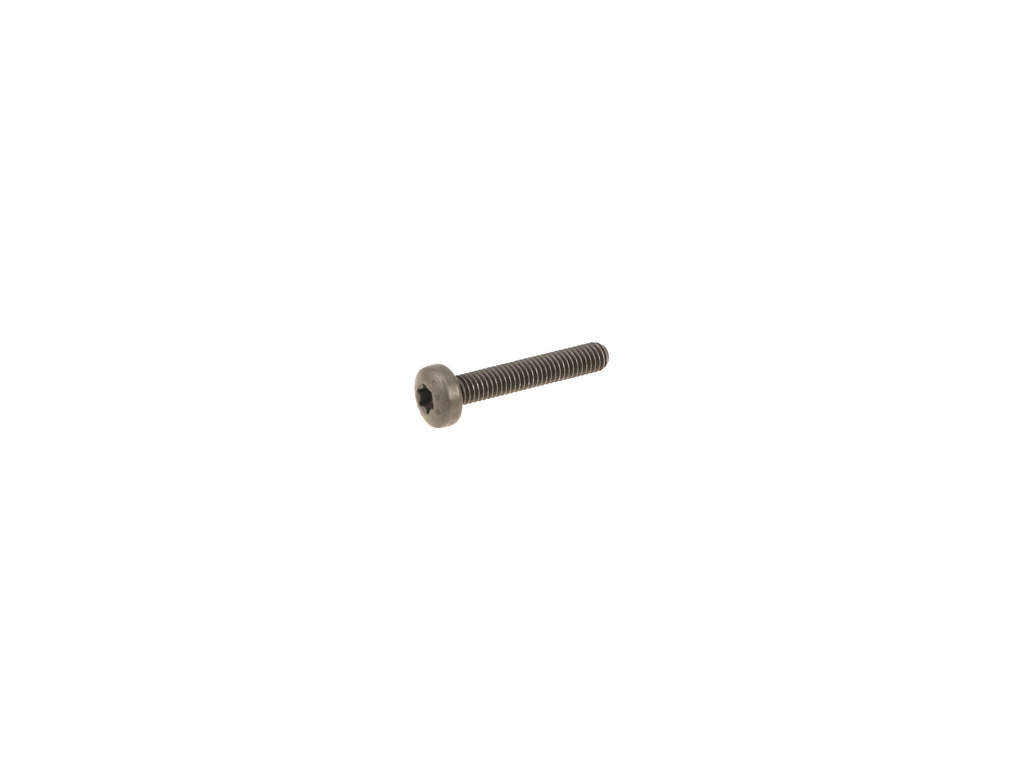 2007-2010 Audi Q7 Engine Timing Chain Tensioner Bolt (Genuine)