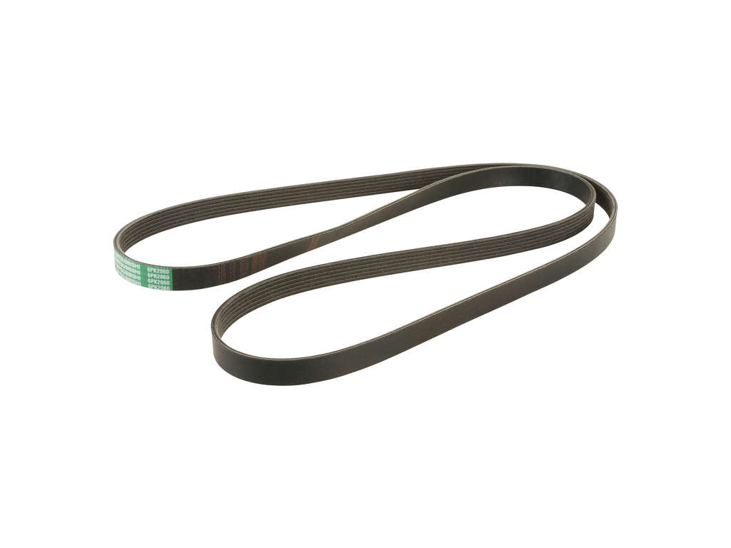 2014-2021 Ram 1500 Accessory Drive Belt -  or Primary or Water Pump, Alternator, Air Conditioning and Power (Dayco)