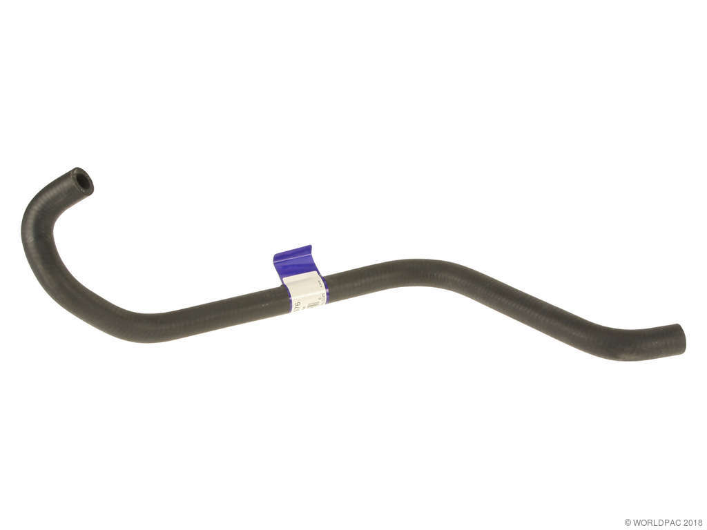 1984-1987 BMW 325e Engine Coolant Hose (Rein)