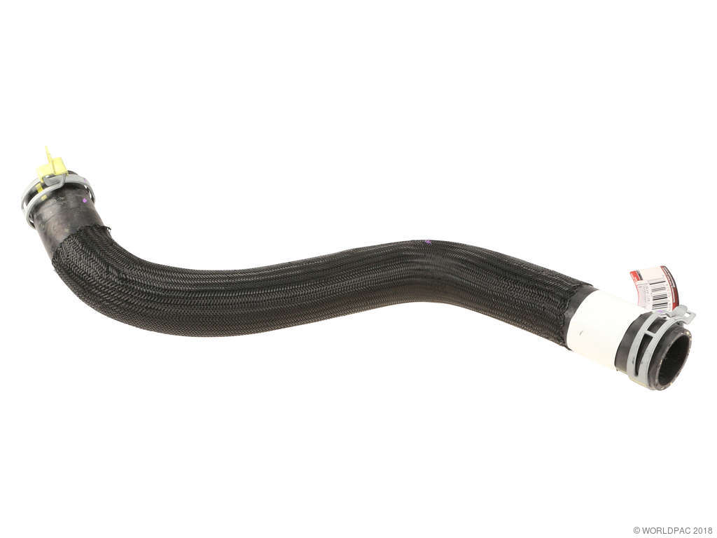 2009-2012 Ford Escape Radiator Coolant Hose - Lower (Motorcraft)