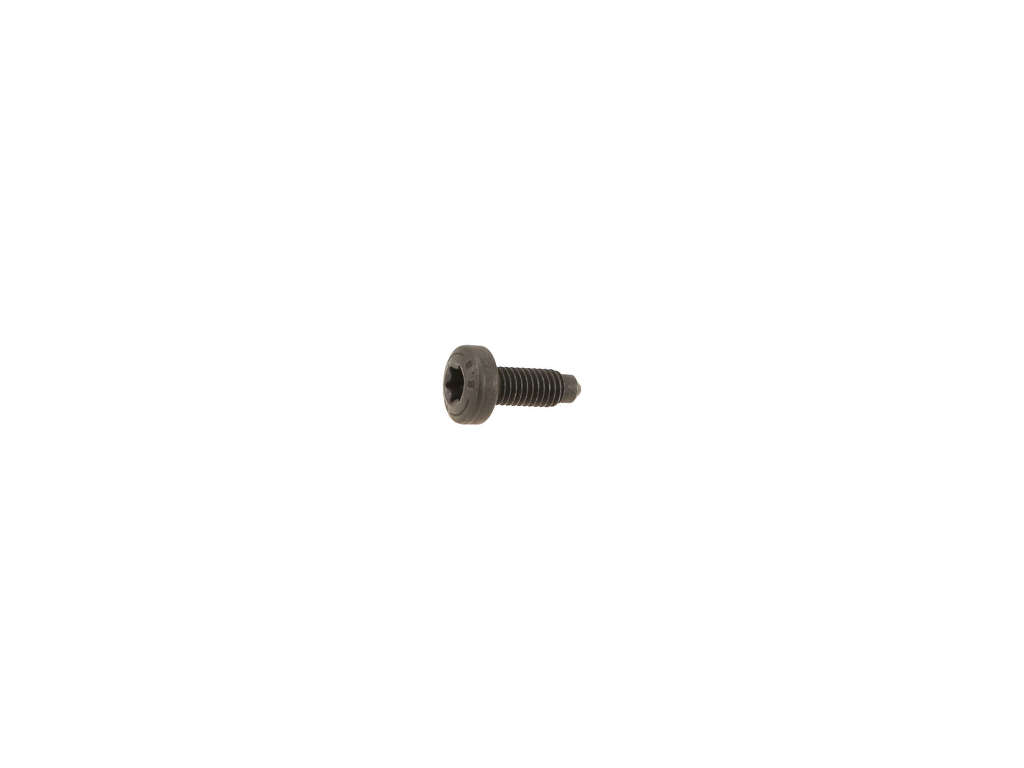 2007-2009 Volkswagen Eos Engine Oil Pump Bolt (Genuine)