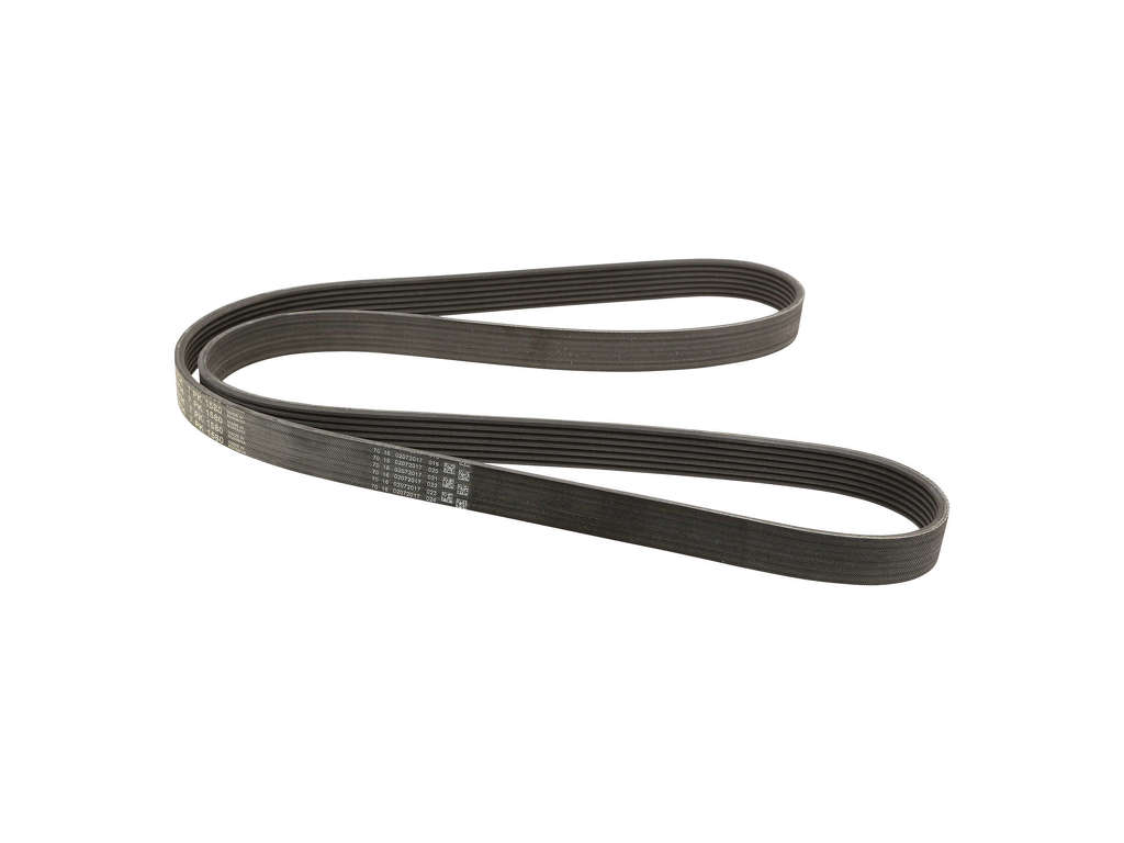 1993-1995 BMW 740i Accessory Drive Belt - Primary (Dayco)