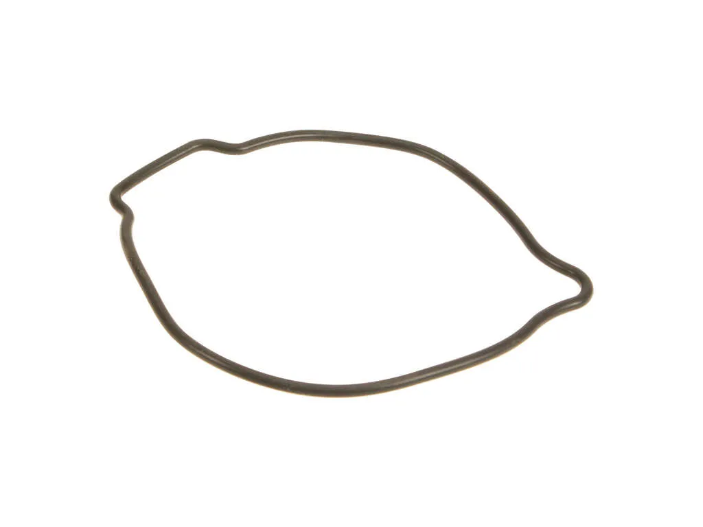 2003-2005 Ford Excursion Engine Oil Pump Seal (Genuine)