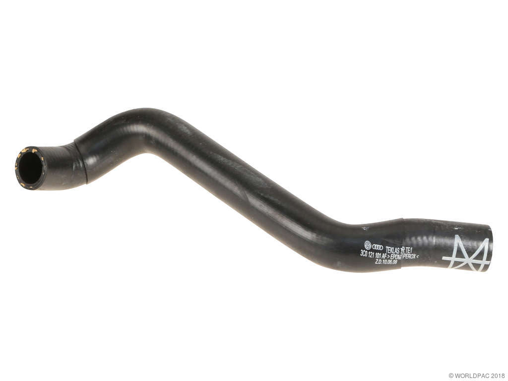 2006-2008 Volkswagen Passat Radiator Coolant Hose - Lower (Genuine)