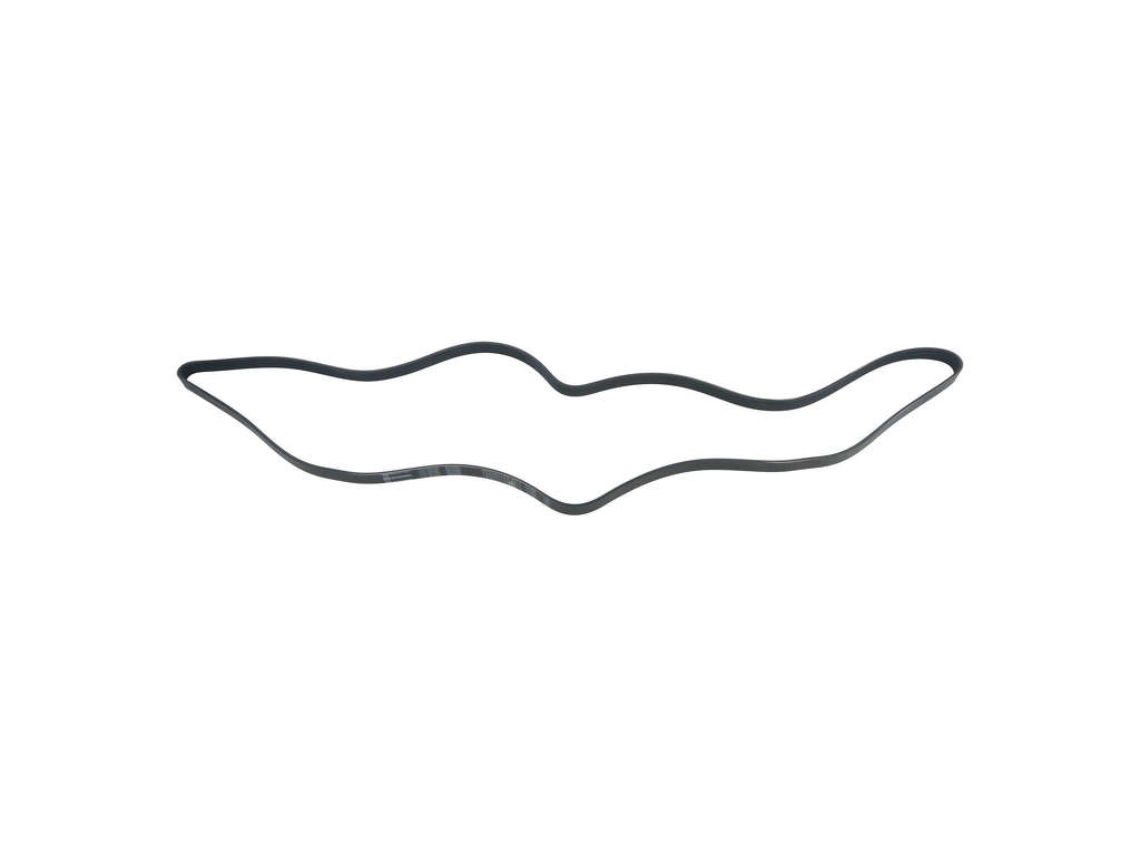 2002-2008 Jaguar X-Type Accessory Drive Belt - Main Drive (Autopart International)