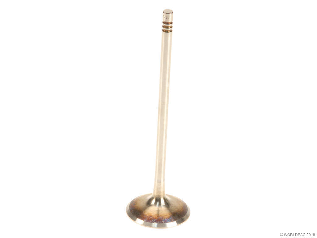 2008-2010 BMW 535i Engine Intake Valve (TRW)