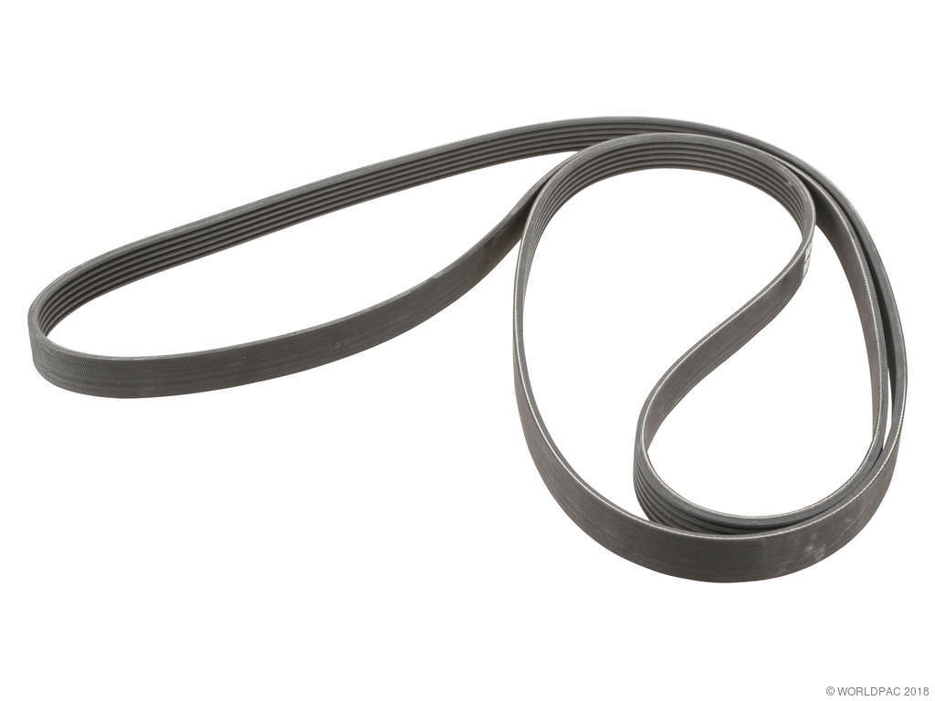 2007-2008 Lincoln Navigator Accessory Drive Belt (Motorcraft)