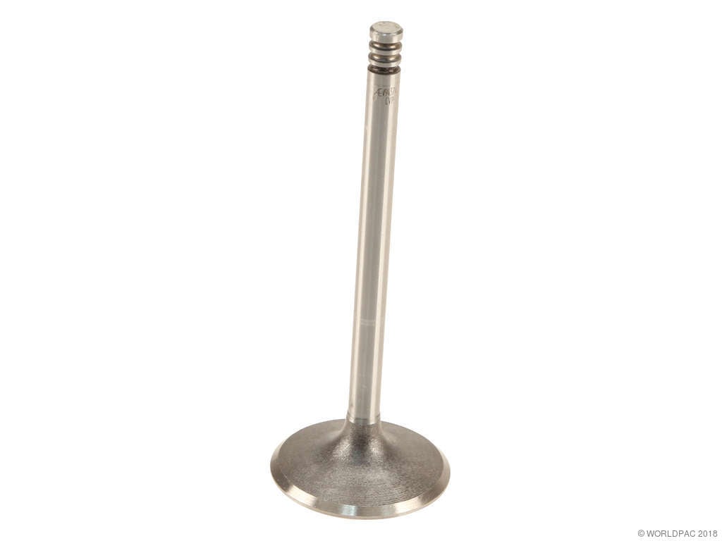 1995-2002 Volkswagen Golf Engine Intake Valve (AE)