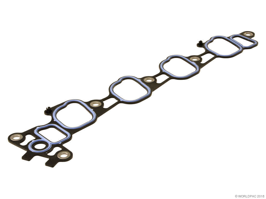 2003-2008 Lincoln Town Car Engine Intake Manifold Gasket -  or Left or Right (Genuine)
