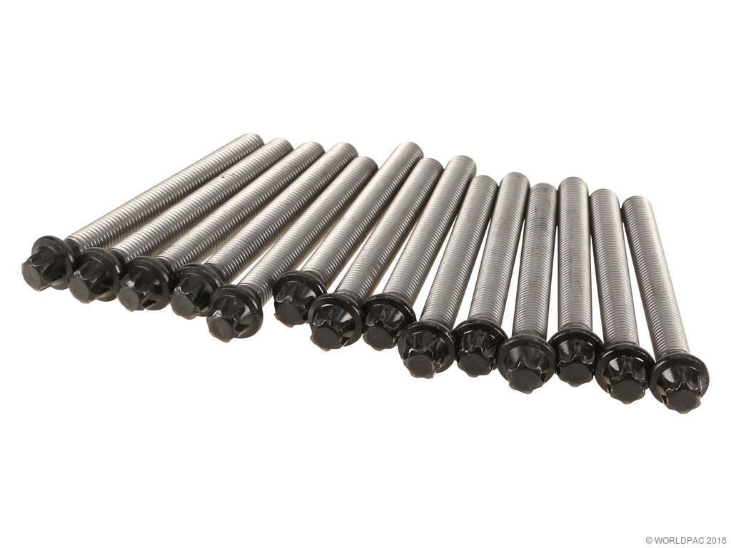 2001-2002 BMW Z3 Engine Cylinder Head Bolt Set (Victor Reinz)