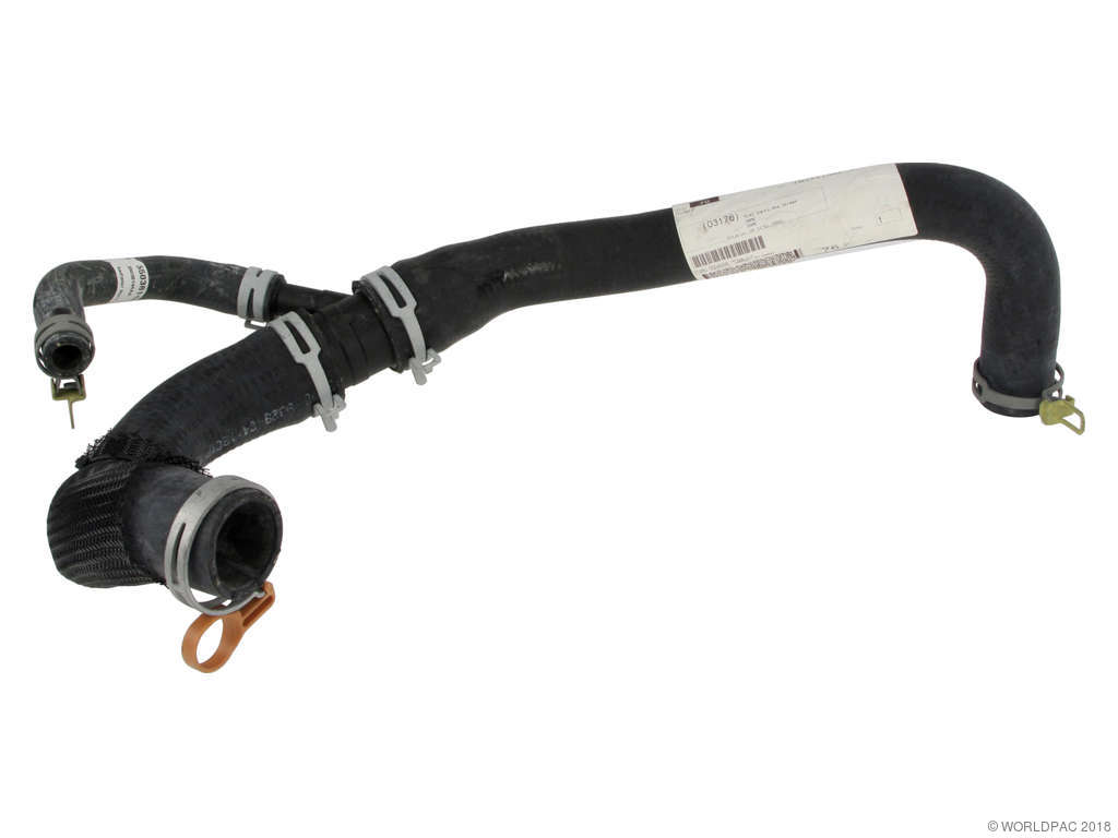 2006-2009 Chrysler 300 Radiator Coolant Hose - Lower (Mopar)
