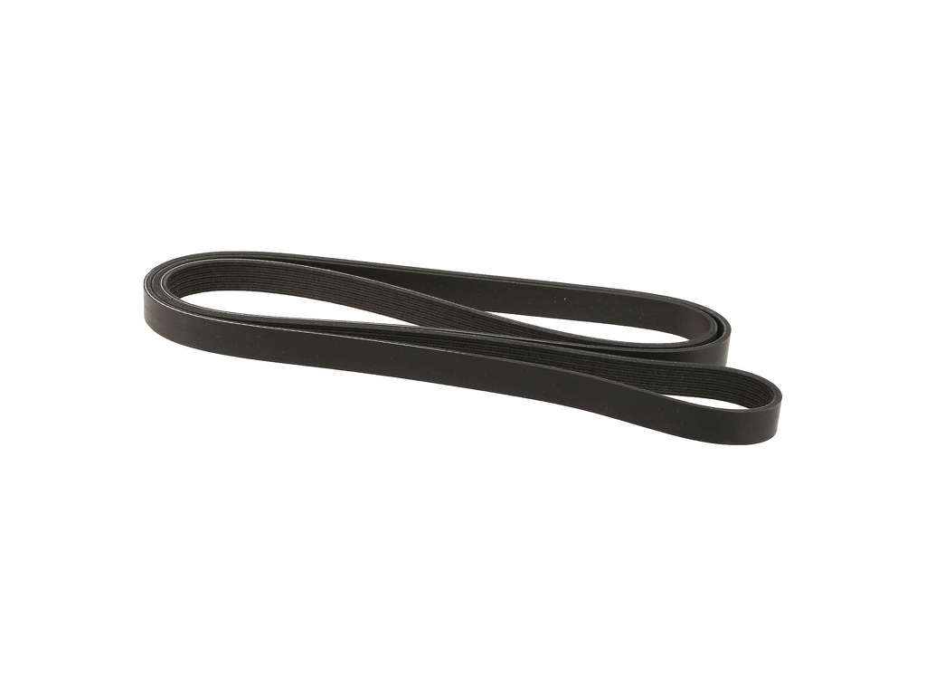 1998-1999 Chevrolet Lumina Accessory Drive Belt (Dayco)