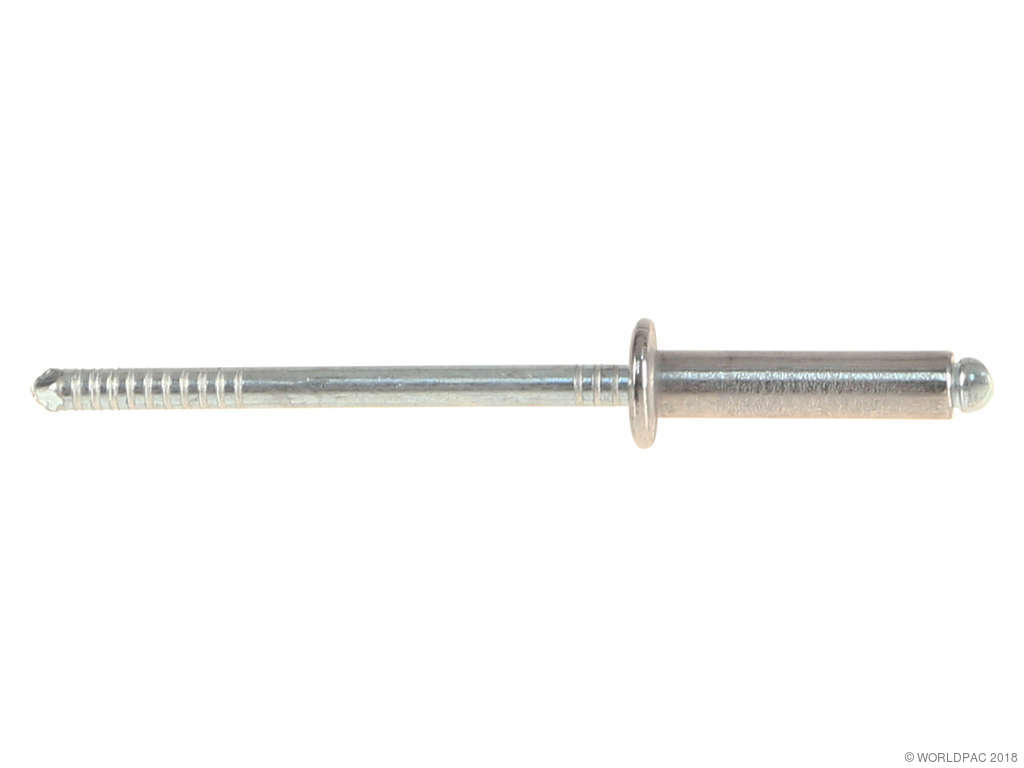 1998-2004 Audi A6 Window Regulator Rivet (Genuine)