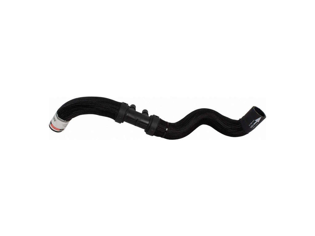 2017-2020 Ford F-150 Radiator Coolant Hose - Upper (Motorcraft)
