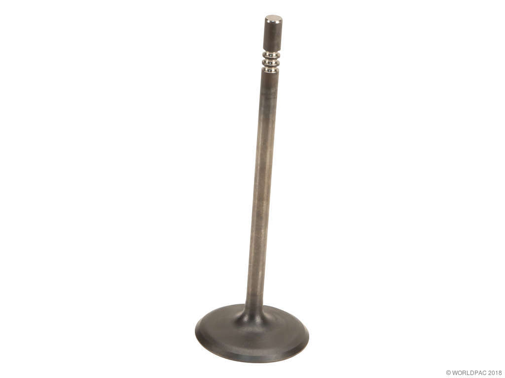 2011-2022 Chrysler 300 Engine Intake Valve (Mopar)