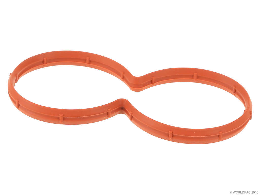 1999-2002 Nissan Quest Fuel Injection Plenum Gasket - Center (Ajusa)