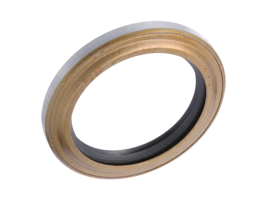 1996-2002 Chevrolet Express 2500 Wheel Seal - Front (Autopart International)