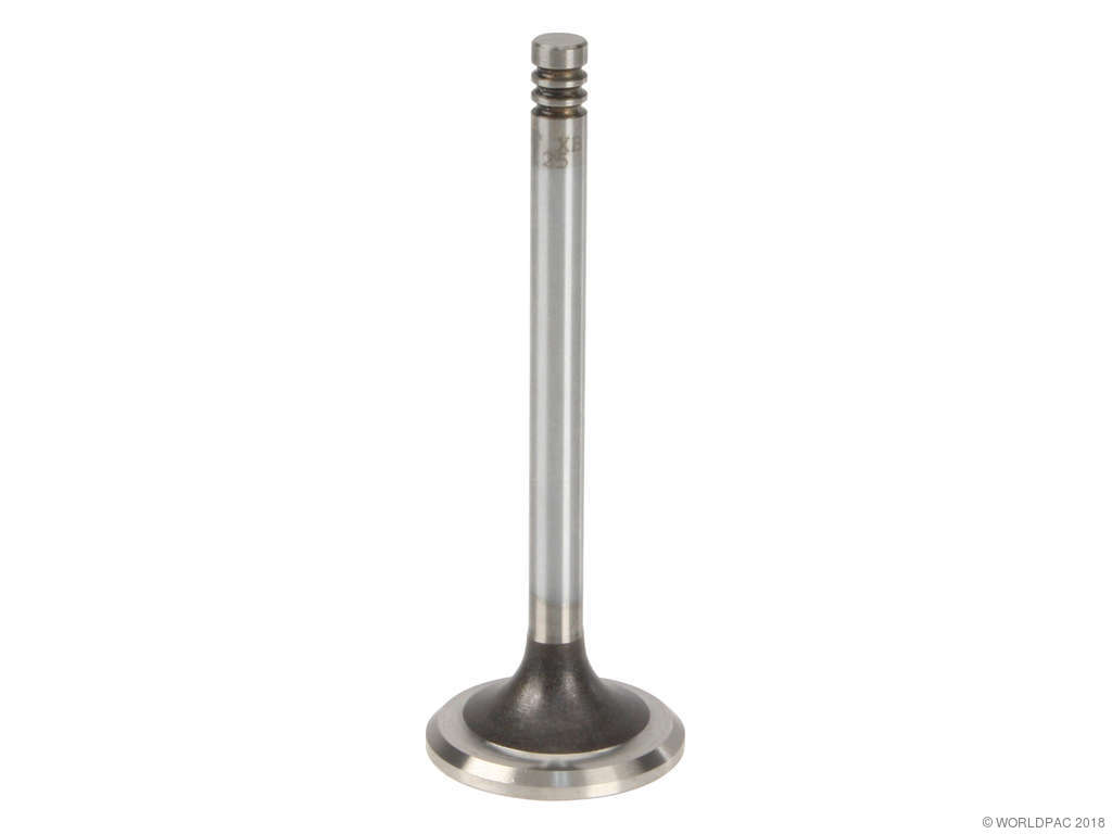 1979-1981 BMW 528i Engine Exhaust Valve (TRW)