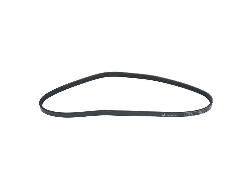 2004-2006 Lexus ES330 Accessory Drive Belt - Power Steering (Autopart International)