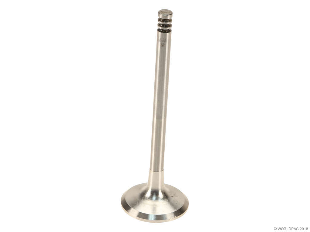 1995-2002 Volkswagen Golf Engine Exhaust Valve (AE)