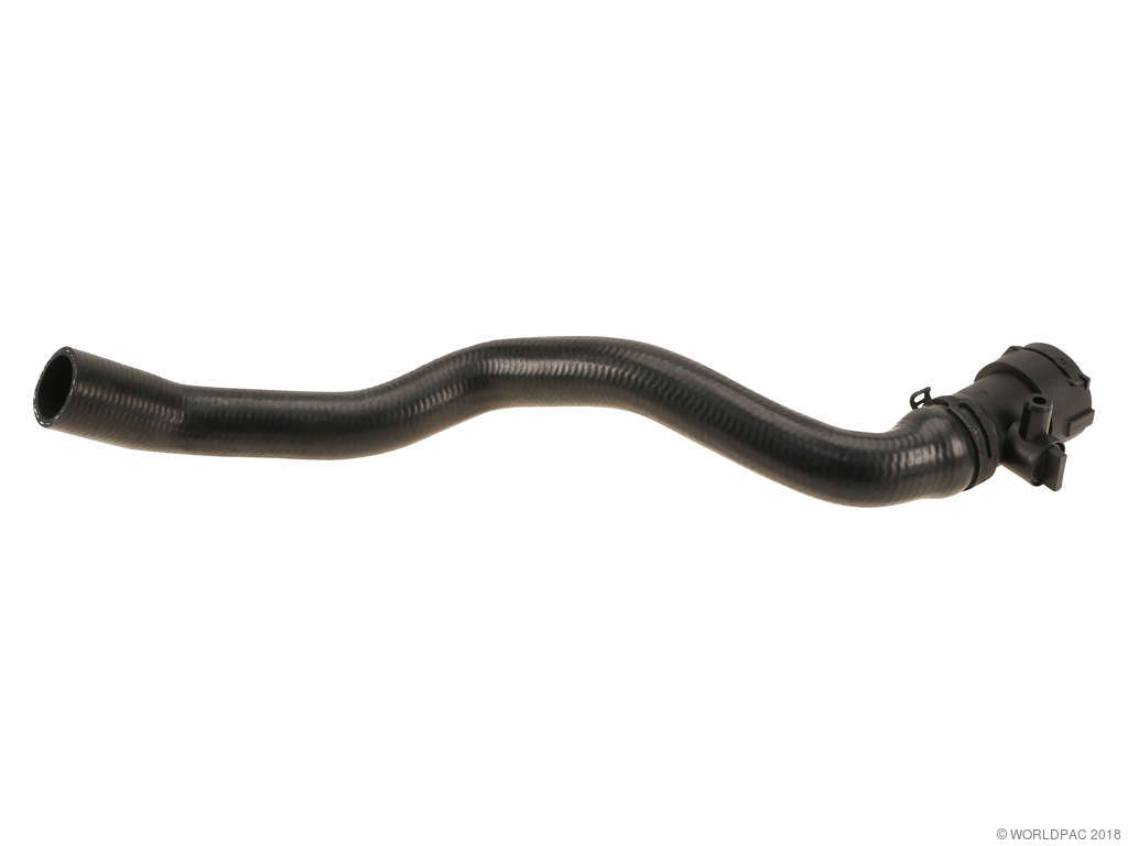 2010-2014 Audi A5 Radiator Coolant Hose - Lower (Rein)