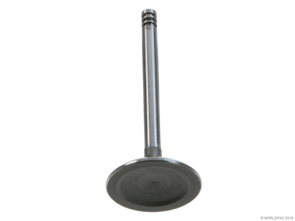 1995-1997 Audi A6 Engine Intake Valve (AE)