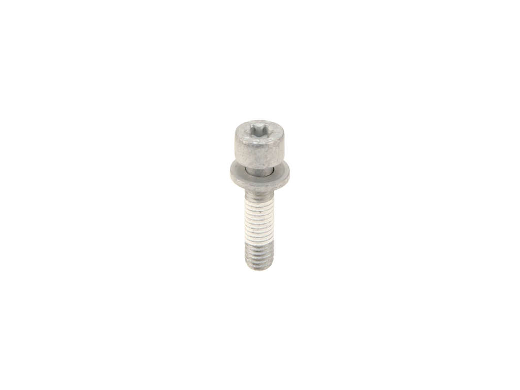 2014-2021 Mini Cooper Fuel Pump Bolt (Genuine)