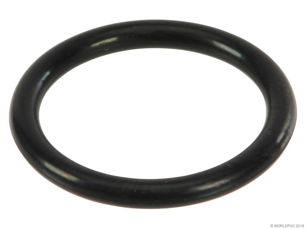 1995-2022 Honda Odyssey Engine Coolant Pipe O-Ring (Ishino Stone)