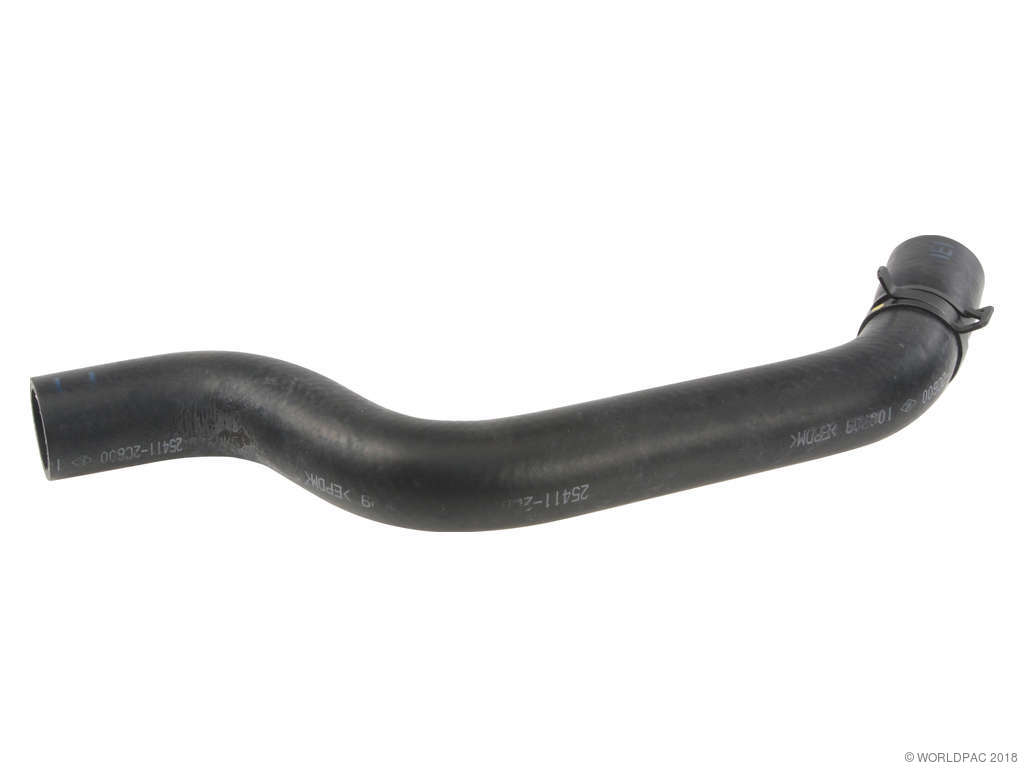 2003-2008 Hyundai Tiburon Radiator Coolant Hose - Upper (Genuine)