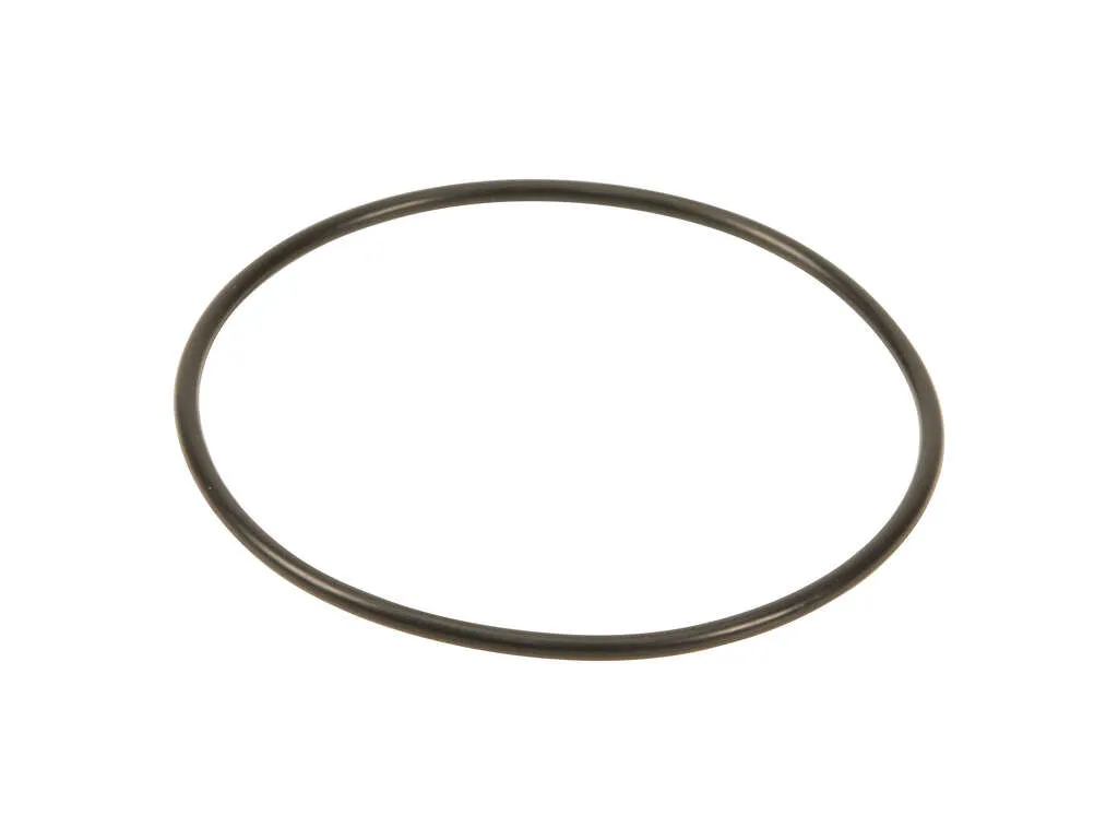 2004-2005 Ford Excursion Engine Water Pump Gasket (Mahle)