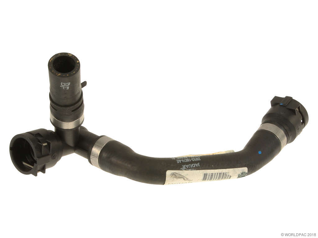 2004-2005 Jaguar XJ8 Engine Coolant Overflow Hose (Genuine)