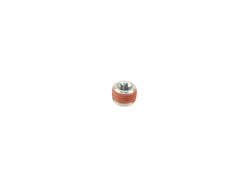 2000-2005 Lincoln LS Transmission Drain Plug (Genuine)