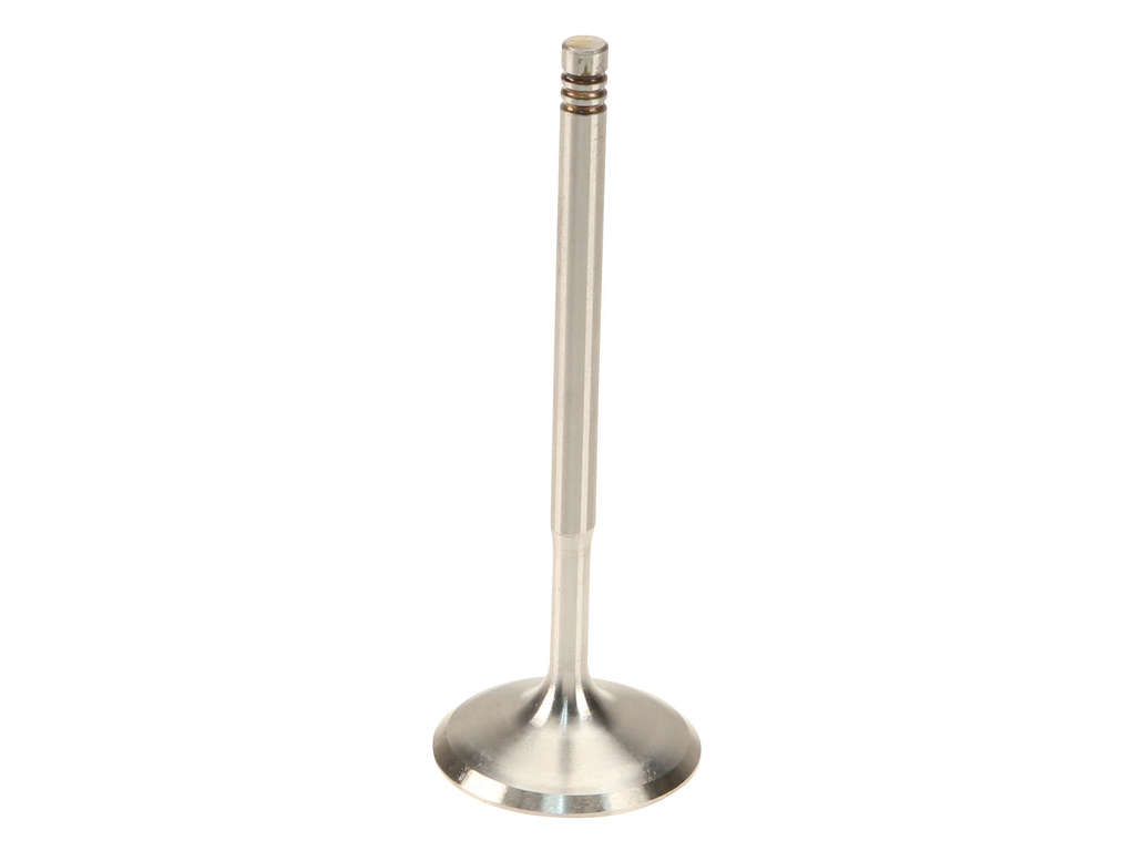 2006-2008 BMW 750i Engine Intake Valve (TRW)