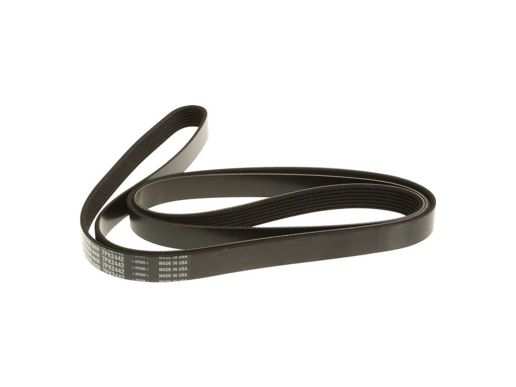 2011-2012 INFINITI QX56 Accessory Drive Belt - Primary (Bando)