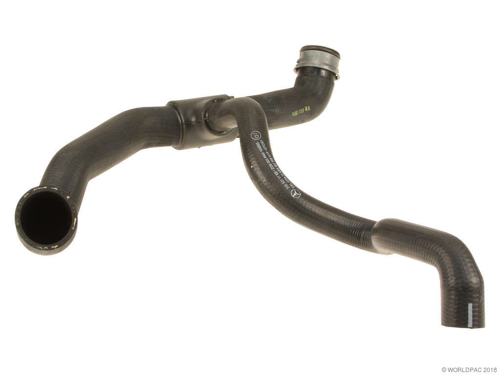 2003-2005 Mercedes-Benz CLK320 Radiator Coolant Hose - Lower (Genuine)