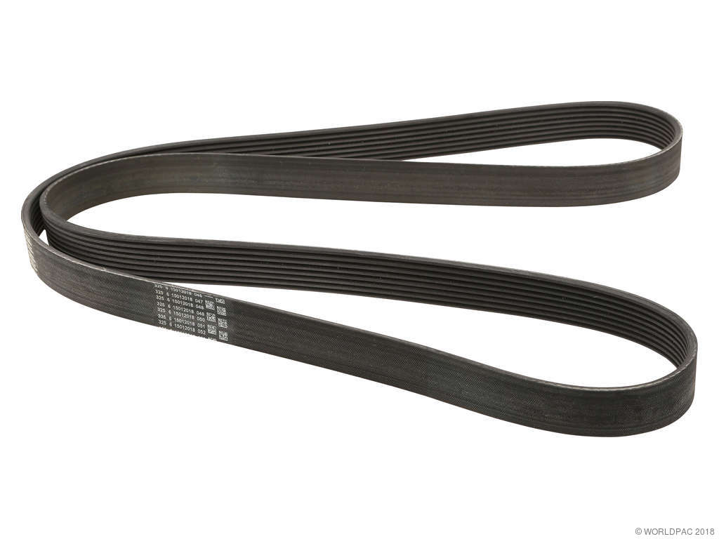 2011-2012 BMW X3 Accessory Drive Belt (ContiTech)