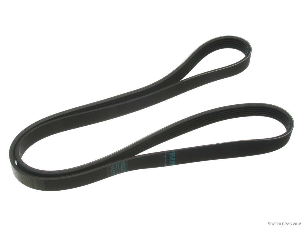 2004-2006 BMW X3 Accessory Drive Belt - Primary (ContiTech)