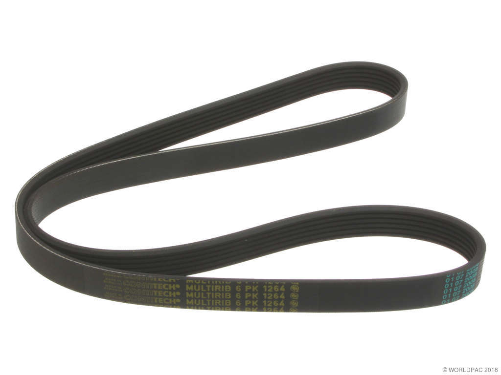 2002 Volkswagen Jetta Accessory Drive Belt - Primary (ContiTech)