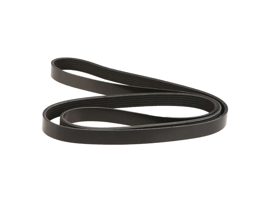 1990-2001 Chevrolet Lumina Accessory Drive Belt -  or Primary (Dayco)