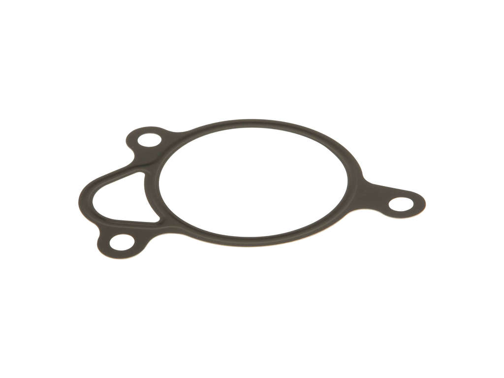2002-2006 Freightliner Sprinter 2500 Exhaust Gas Recirculation (EGR) Valve Gasket (Mopar)