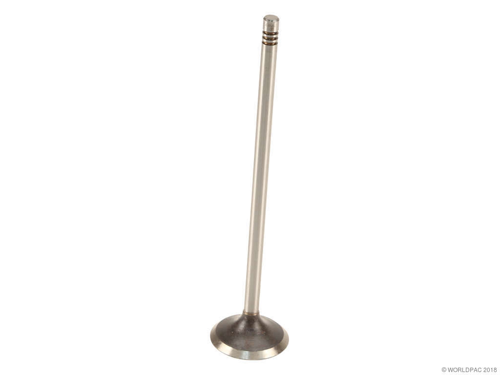 2002-2005 Volkswagen Golf Engine Intake Valve (AE)