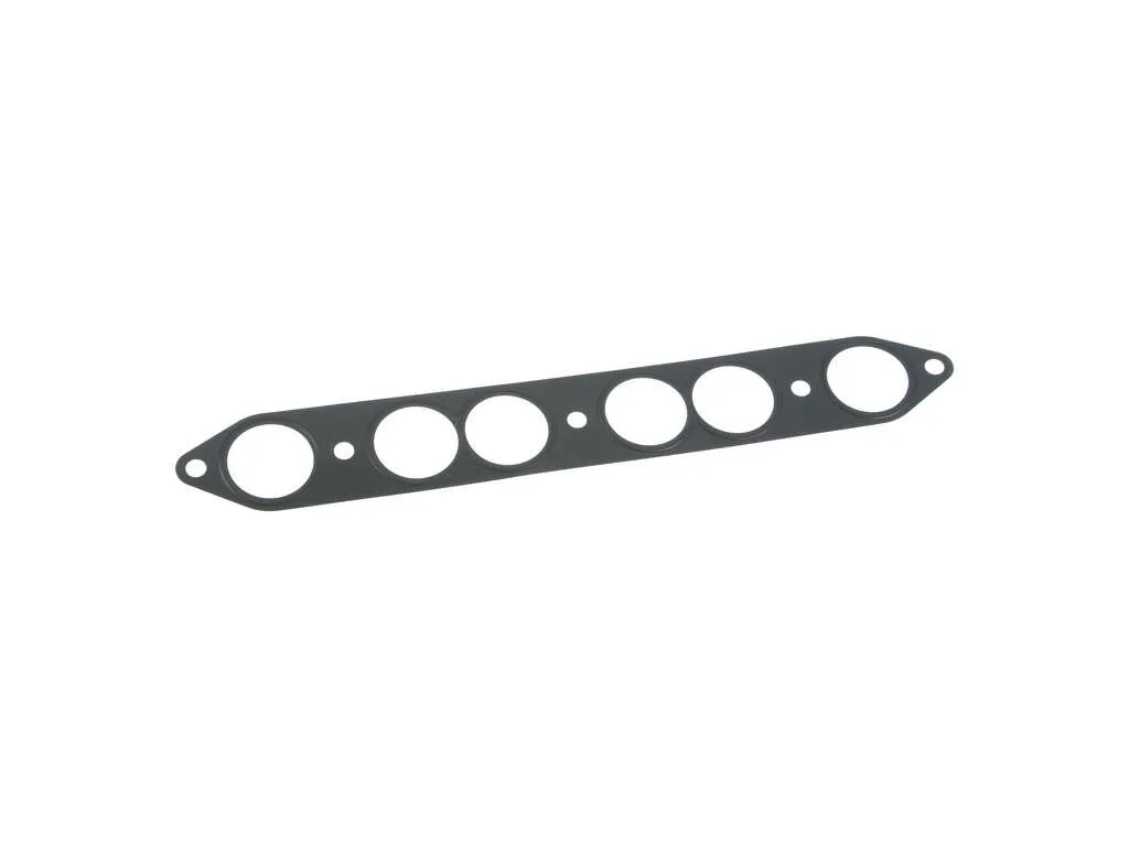 2000-2004 Nissan Xterra Fuel Injection Plenum Gasket (Ishino Stone)