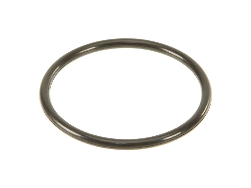 1990-1993 Nissan 300ZX Fuel Tank Sending Unit Gasket (Genuine)