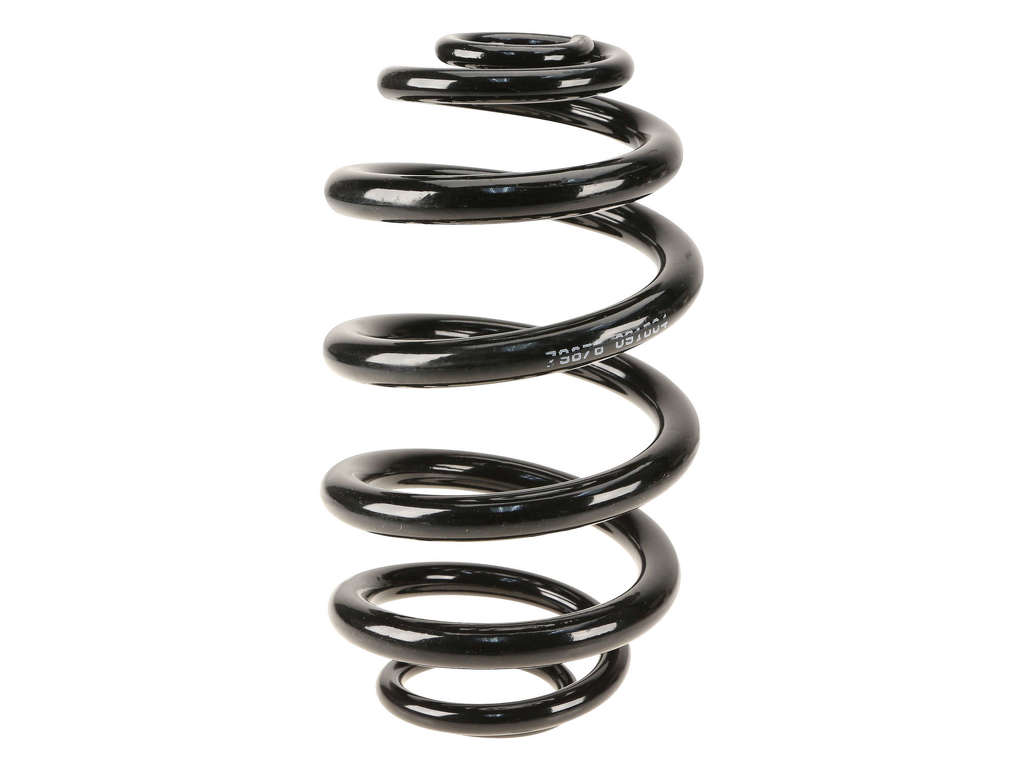 2004-2006 BMW X3 Coil Spring - Rear (Lesjofors)