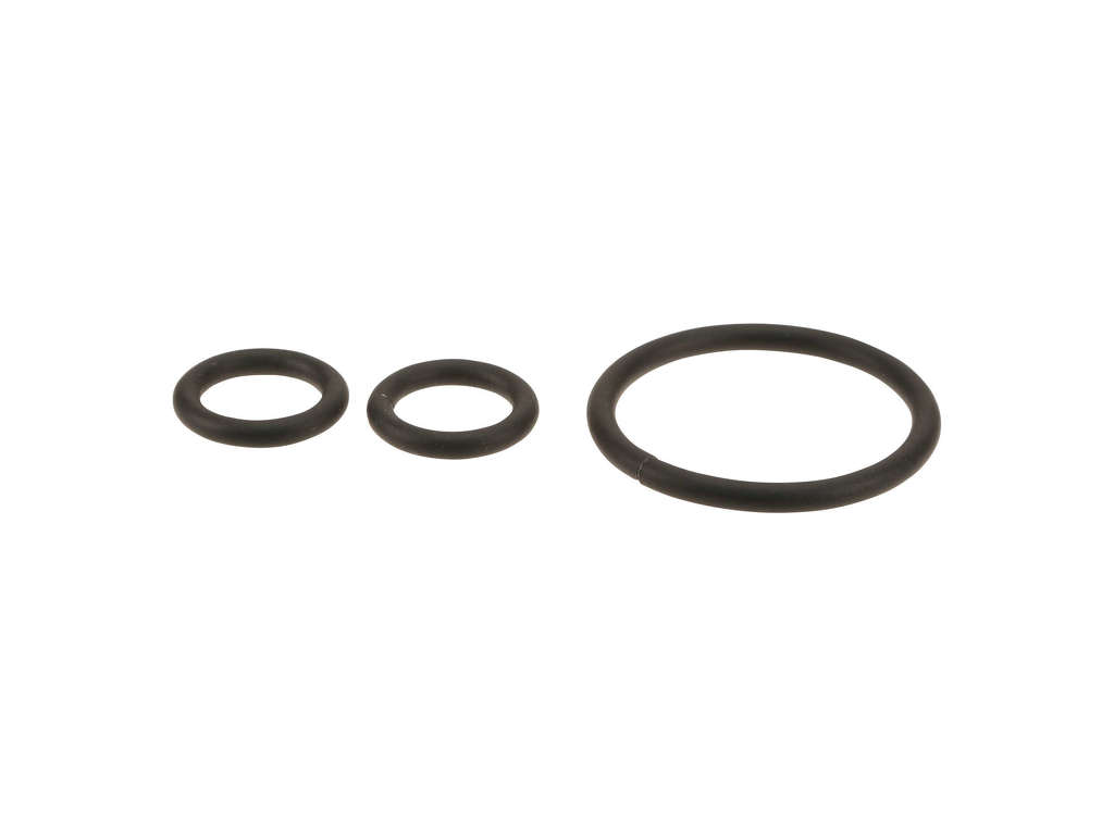 2011-2013 BMW 528i Headlight Seal (Genuine)