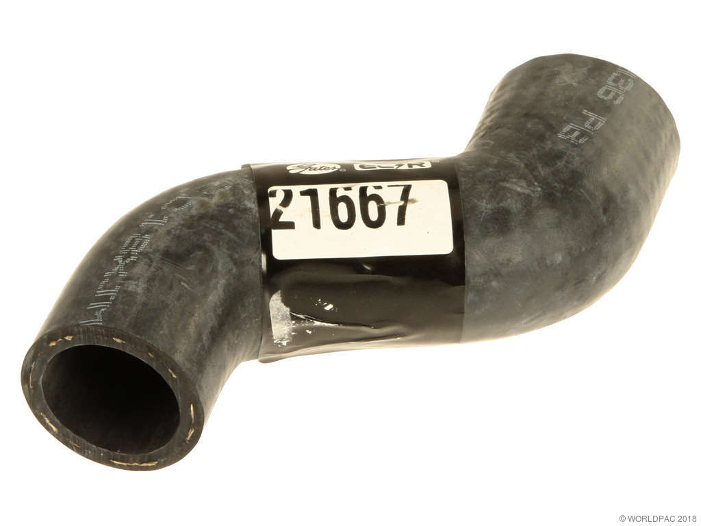 2004-2008 Chevrolet Aveo Radiator Coolant Hose - Lower - Pipe To Water Pump (Gates)