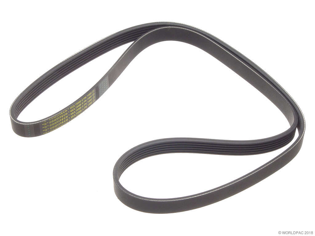 2001-2002 BMW Z3 Accessory Drive Belt - Primary (ContiTech)