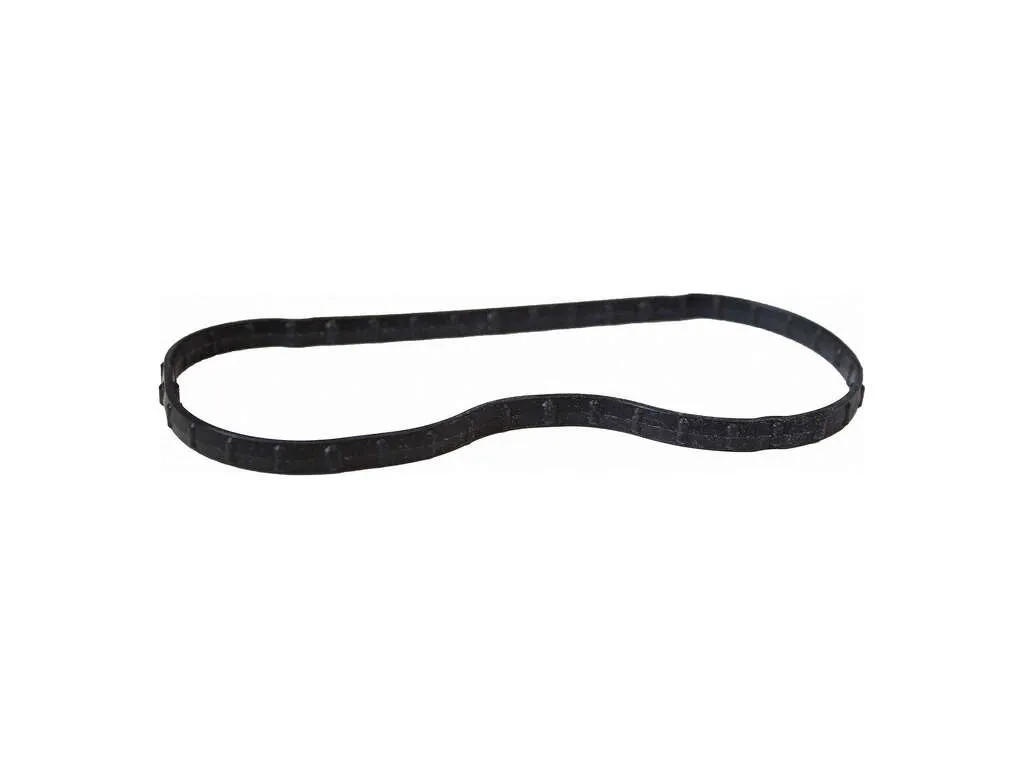 2008-2010 Ford F-250 Super Duty Engine Coolant Thermostat Gasket (Motorcraft)