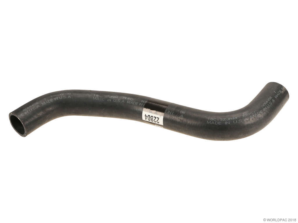 2002-2006 Mazda MPV Radiator Coolant Hose - Lower (Dayco)