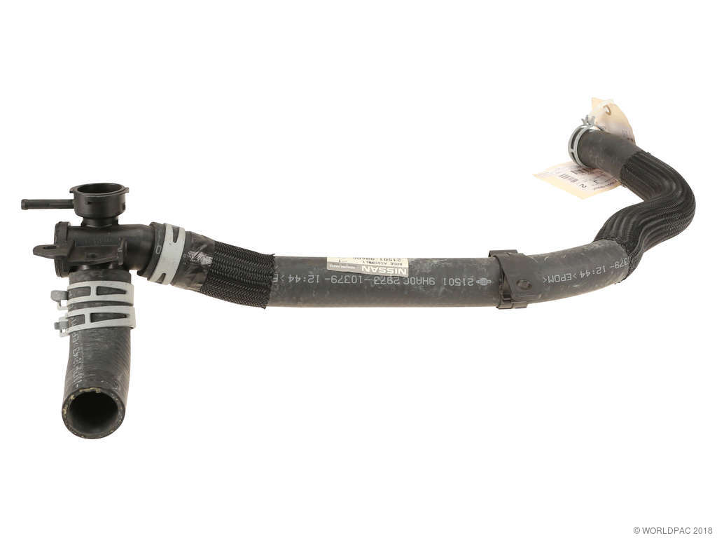 2007-2011 Nissan Altima Radiator Coolant Hose - Upper (Genuine)